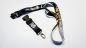 Preview: Lanyards